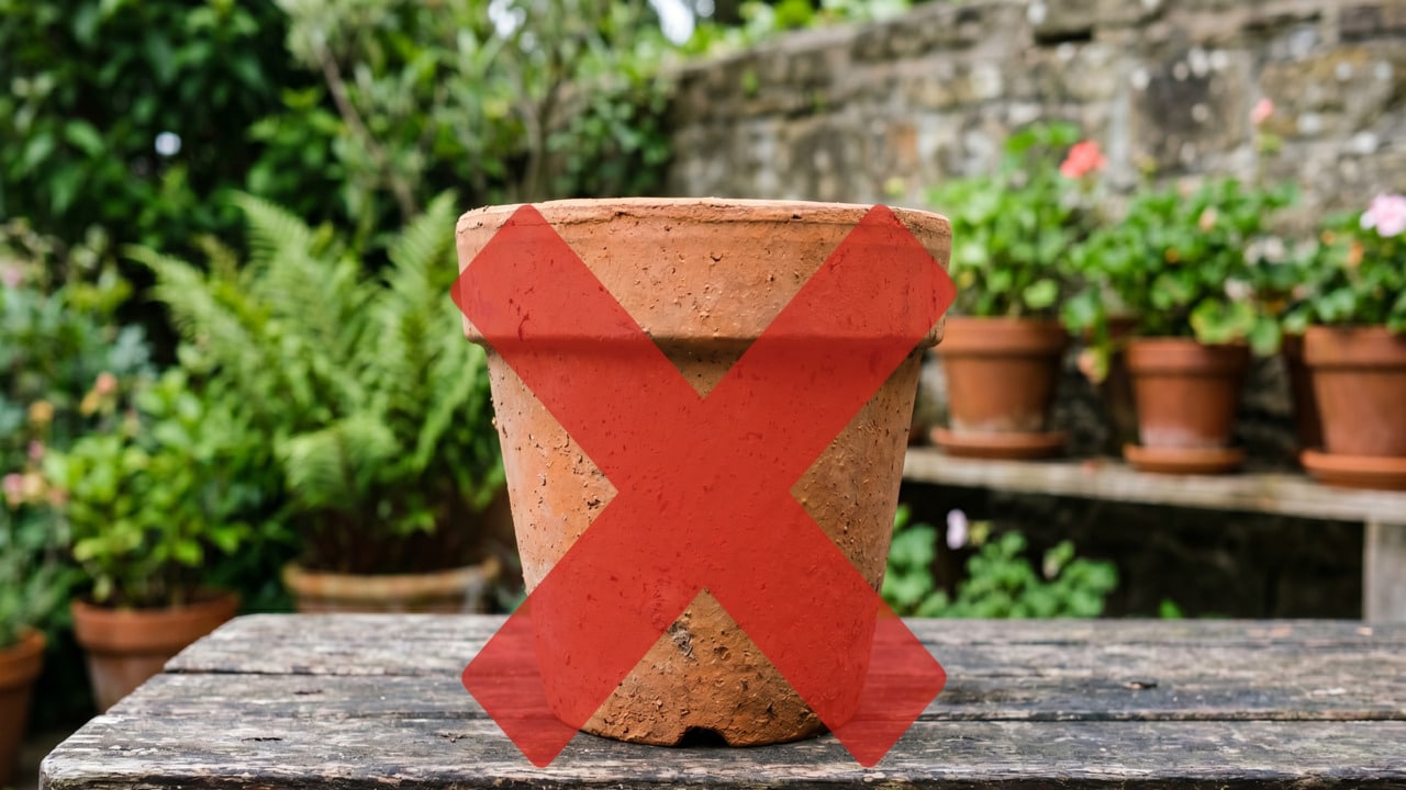 Os vasos de flores tradicionais são coisa do passado: o utensílio de cozinha que os substitui no jardim