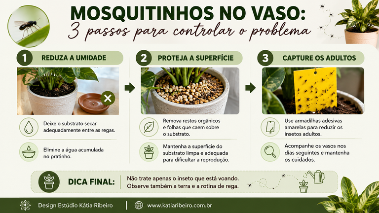 Infográfico mostra 3 passos simples para controlar os mosquitinhos nos vasos: reduzir a umidade, proteger a superfície do substrato e capturar os insetos adultos. Design Estúdio Kátia Ribeiro ©