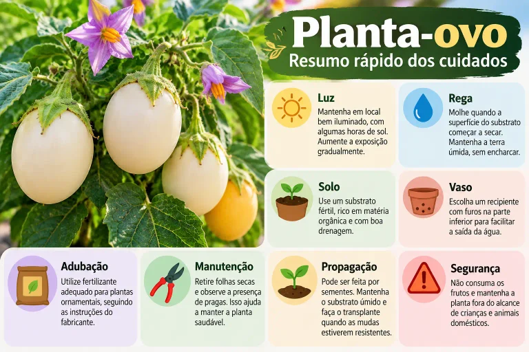 Infográfico com dicas de como cuidar da planta-ovo, incluindo luz, rega, solo, adubação e propagação.
